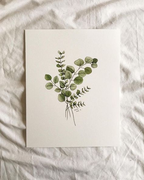 Eucalyptus Illustration, Akvarel Illustration, Eucalyptus Print, 심플한 그림, Neutral Print, Soyut Sanat Tabloları, 카드 디자인, Fluid Acrylic Painting, 수채화 그림