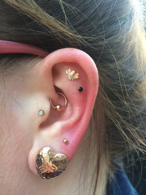 Nicole chose this rose gold bodygems bee to adorn her healed outer conch piercing 🐝✨💛 Conch Piercing Ideas, Tattoos Life, Inner Ear Piercing, Outer Conch Piercing, Outer Conch, Three Ear Piercings, Pretty Piercings, Cosplay Jewelry, Hammered Hoop Earrings