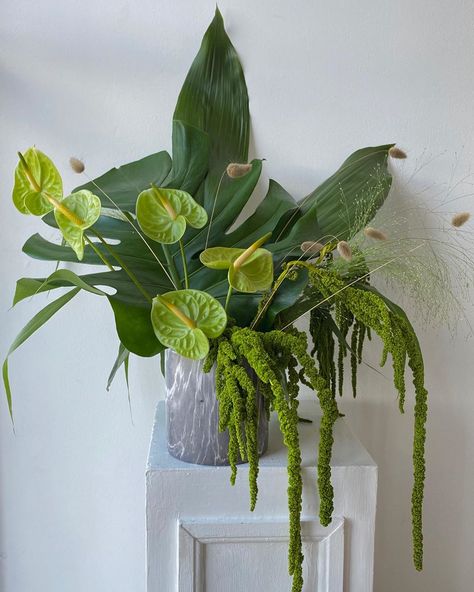 𝕸 𝕺 𝕺 𝕹 𝕱 𝕷 𝖂 𝕽 on Instagram: “Photos of my fave large arrangement! she’s been living rent free in my head ever since the day I created her 💚 DM to order // Website…” Floral Arrangements With Monstera Leaves, All Green Flower Arrangement, Monstera Floral Arrangements, Tropical Flower Decor, Greenery Flower Arrangements, Green Flower Arrangements Wedding, Tropical Flowers Arrangements, Green Flower Arrangements, Green Floral Arrangements