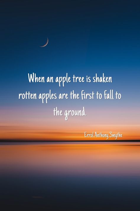 When an apple tree is shaken rotten apples are the first to fall to the ground. -Errol Anthony Smythe Apple Quotes, Rotten Apple, Bad Apple, Apple Tree, It Takes, Apples, Words Of Wisdom, The One, The First