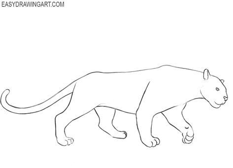 panther animal drawing How To Draw A Panther, Panther Animal Drawing, Black Panther Animal Drawing, Continous Line Drawing, Black Panther Animal, Animal Drawing Ideas, Snow Panther, Panther Drawing, Black Panther Drawing