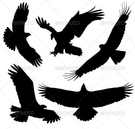 Eagle Silhouette - #silhouettes #animals #characters #isolated #illustration #vector #template #eagle #bird Hawk Silhouette, Bald Eagle Tattoos, Rabe Tattoo, Vogel Silhouette, Eagle Silhouette, Tattoo Bird, Bird Stencil, Silhouette Tattoos, Bear Silhouette