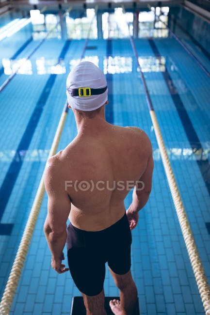 Rear view of a male Caucasian swimmer wearing a white swimming cap standing by an olympic sized pool inside a stadium — water, water sport - Stock Photo | #283697836 Person Swimming Reference, Person In Pool Reference, Male Swimmers Aesthetic, Swimmer Photography, Swimmer Portrait, Male Swimmer Photography, Male Swimmers, Swimming Cap, Water Sport