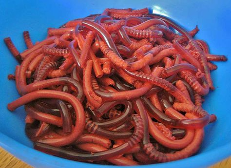 How To Make Jell-O Worms With Bendy Drinking Straws  THIS WILL BE GREAT WHEN WE READ HOW TO EAT FRIED WORMS! :) Straw Worms, Holiday Bites, Jello Worms, Teen Halloween Party, Halloween Donuts, Halloween Cake, Jell O, Halloween Snacks, Halloween Food For Party