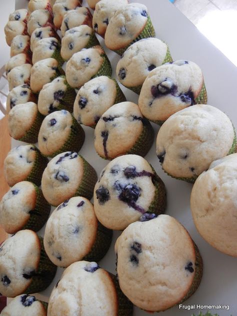 Frugal Homemaking: Big Batch Blueberry Muffins {Fill Your Freezer!} Fill Your Freezer, Frugal Homemaking, Oatmeal Chocolate Chip Muffins, Freezer Breakfast, Oatmeal Chocolate, Cooking For A Crowd, Freezer Cooking, Blueberry Muffins, Frugal Meals