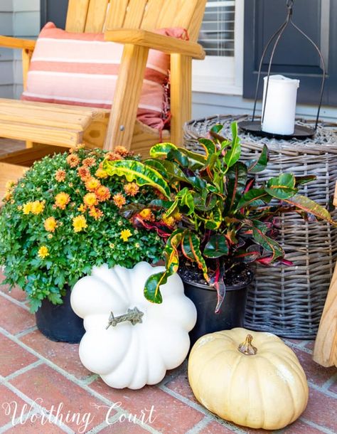 Click here for budget friendly fall porch decor ideas that you can use at your own home. #frontporchdecorideas #cutefallporchideas, #curbappeal, #fallporchdecoratingideas, #fallporchmums, #fallporchdiy, #fallporchrustic, #fallporchplanters, #fallporchsteps, #fallporchpumpkins, #fallporchwreath, #pumpkins, #pumpkindecor, #porch, #porchdecor, #fallporch, #farmhouse, #falldecor, #autumndecor, #outdoorfalldecor, #falldoordecor, #mums Front Porch For Fall, Build Kitchen Island, Farmhouse Christmas Kitchen, Mums In Pumpkins, Fall Front Porch Decor Ideas, Front Porch Decor Ideas, Patterned Tile Backsplash, Porch Wreath, Warm Home Decor