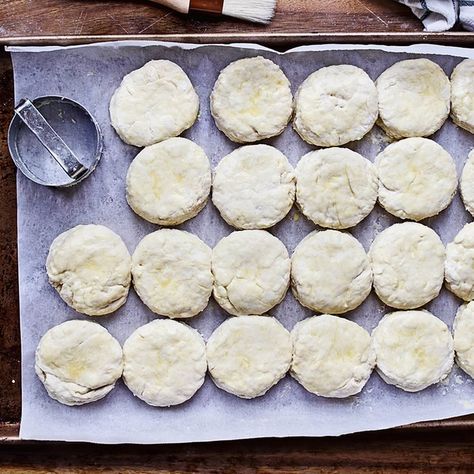 Homemade Buscuits, Homemade Freezer Biscuits, Biscuits Homemade, Whole Wheat Biscuits, Sour Cream Biscuits, Baked Biscuits, Best Biscuit Recipe, Homemade Biscuit, Sourdough Biscuits