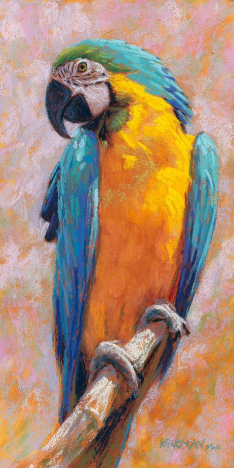 Wallpaper Dog Aesthetic, Macaw Art, Animals And Pet Supplies, Dog Tattoo Ideas, Parrot Painting, Wallpaper Dog, Aesthetic Dog, Dog Aesthetic, Parrots Art