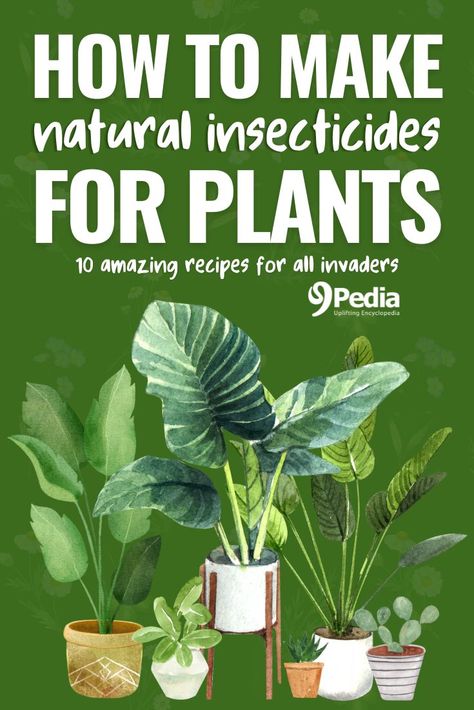 How to Make Natural Insecticide for Plants – 10 Homemade Recipes for All Invaders #naturalinsecticide #insecticides #insecticiderecipe #naturalgarden #growingplants #homemade Homemade Insecticide For Plants, Natural Insecticide For Plants, White Bugs On Plants, Insecticide For Plants, Homemade Insecticide, Natural Antacid, Hydroponics Gardening, Bug Spray Recipe, Fruit Tree Garden