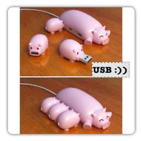 Electronics Logo, Take My Money, Purim, Cool Inventions, Usb Hub, Tech Gadgets, Cool Gadgets, Kids Crafts, Pigs