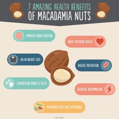 Macadamia Nut Benefits, Nuts Nutrition, Macadamia Nut Recipes, Nut Benefits, High Fat Snacks, Histamine Diet, Kitchen Gardening, Food Benefits, Healthy Nuts