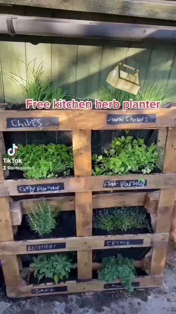 Eyfs Outdoor, Allotment Ideas, Free Pallets, Vegetable Garden Planning, Vegetable Garden Diy, Indoor Vegetable Gardening, Veggie Patch, Backyard Vegetable Gardens, Herb Planters