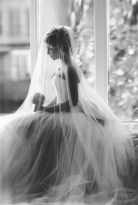 Window Pictures, Black And White Wedding Photography, White Wedding Photography, Tulle Wedding Veil, Cathedral Wedding Veils, Wedding Photography Bride, Cathedral Veil, Creative Wedding Photography, Black And White Wedding