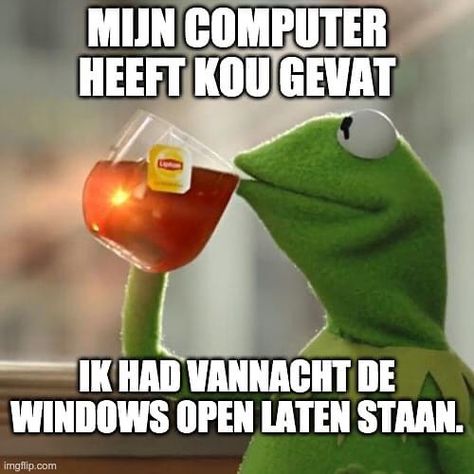 4 vind-ik-leuks, 0 opmerkingen - Zoetermeeractief |NIEUWS (@zoetermeeractief) op Instagram: 'Ik hoop dat het niezen snel ophoudt, typt niet makkelijk. . . . #laptop #werken #lachen #grapje…' Airline Humor, Funny Sports Quotes, Kermit Meme, Kermit Funny, Fb Quote, Drunk Humor, 9gag Funny, Awkward Family Photos, Dutch Quotes