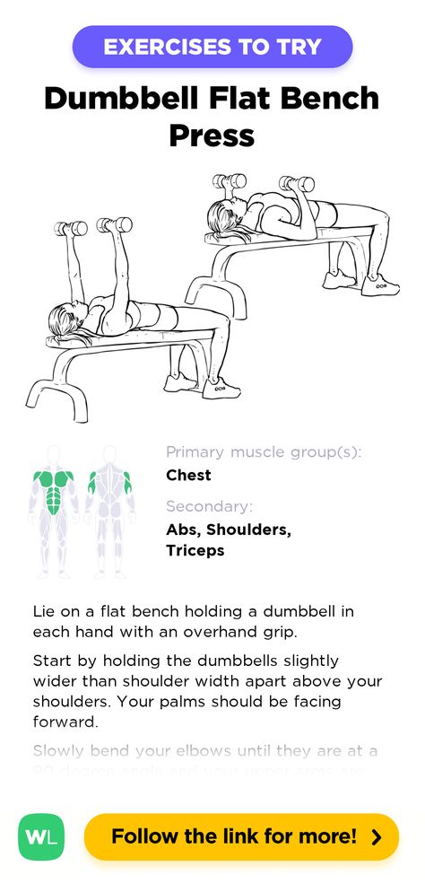 Dumbell Flat Bench Press, Flat Dumbbell Press, Dumbbell Bench Press Form, How To Bench Press Correctly, Dumbell Bench Press Form, Exercise Names, Bench Press Muscles Worked, Bench Press Form, Dumbbell Chest Press