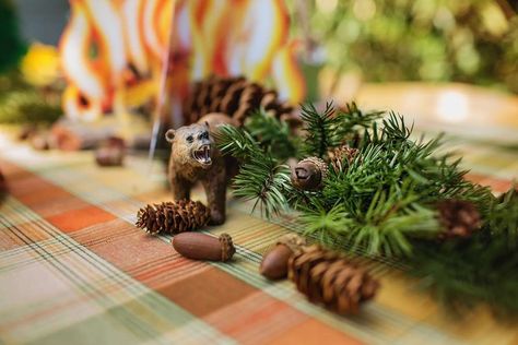 Vintage National Park/Camping Themed 3rd Birthday "Holden National Park" | CatchMyParty.com Acorn Birthday Party, Forest Birthday Party, Adventure Party, Forest Baby Showers, Smokey The Bears, Forest Birthday, Camping Theme Party, Bear Birthday Party, Camping Birthday Party