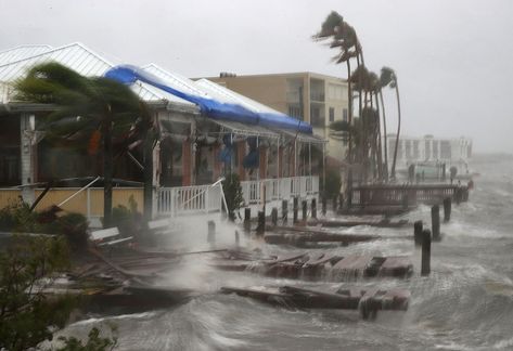 New Sea-Level Rise Projection Raises Threat to World's Coasts | Live Science Caribbean Art, Crystal Beach, Storm Surge, Sea Level Rise, The Weather Channel, Boat Dock, Sea Level, Mother Earth, East Coast