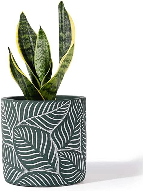 Plant Pot Design, Vase Deco, Painted Pots Diy, Pottery Painting Designs, Cement Planters, Cement Pots, Cement Crafts, Decorative Planters, Pot Designs