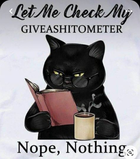 Black Cat, Let Me, Cricut, Mug, Reading, On Twitter, Coffee, Funny, Twitter