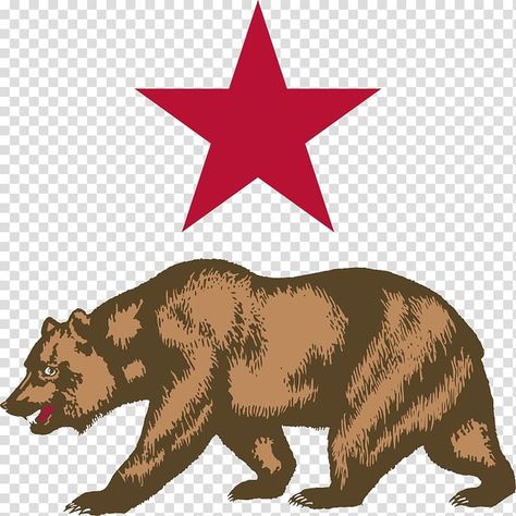 California Bear Tattoos, Star Flag, California Bear, Bear Tattoo, Moose, Moose Art, Flag, California, Animals