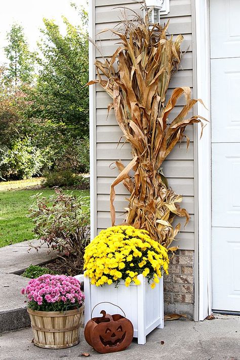 Fall porch decor with cornstalks, DIY wreath, and chevron pillows @ houseofhawthornes.com Fall Outdoor Decorations Front Porches, Corn Stalks Decorations, Corn Stalk Decor, Fall Outdoor Decor Porch, Outside Fall Decorations, Fall Front Porch Decor Ideas, Outside Fall Decor, Fall Porch Decor, Corn Stalks