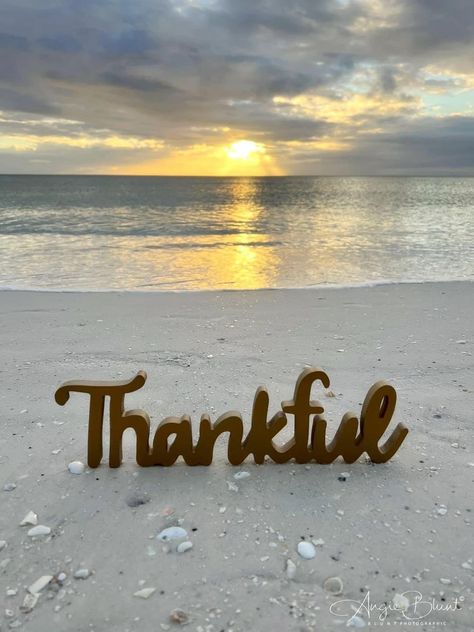 Happy Thanksgiving Pictures, Thanksgiving Travel, Fall Beach, Thanksgiving Pictures, Happy Birthday Celebration, Thanksgiving Greetings, I Love The Beach, Grateful Thankful Blessed, Beach Quotes