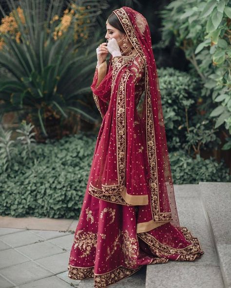 ☆ Shaadi Barbaadi ☆ on Instagram: “Regal 🌹🌹🌹 #Repost from @areebamansoor_ . . . . . . . . . . . . . . . . . . . . . . . . . . . . . . . . . . . . . . .…” Red Nikkah Outfit, Lehenga Modest, Nepal Wedding, Baraat Dress, Shaadi Dresses, Nikkah Outfit, Fall Wedding Guest Dresses, Black Dress Long, Red Bridal Dress