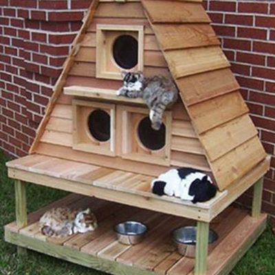 Cat House Plans, Outdoor Cat Shelter, Kat Diy, Chat Diy, Furniture Colors, Pallet Furniture Designs, Pallet Patio Furniture, Cat House Diy, Outdoor Cat House