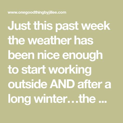 Just this past week the weather has been nice enough to start working outside AND after a long winter…the windows on the outside of the house are looking pretty grimy!More Ideas You'll Love2 Simple Cleaners For Streak-Free Windows & MirrorsAs odd as it may seen, I have never done a post on homemade glass cleaner before. However, … Homemade Glass Cleaner, Streak Free Windows, Window Cleaner Homemade, Working Outside, Cleaner Recipes, Spend Money, Diy Window, Diy Recipes, Best Diy