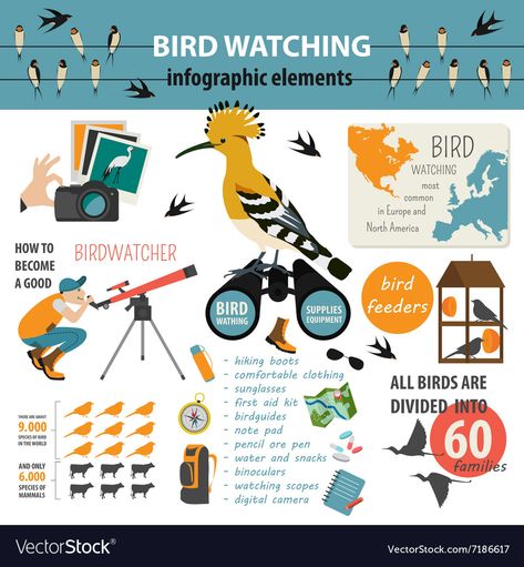 Dog Infographic, Best Bird Feeders, Rules For Kids, Bird Graphic, Bird Hunting, Infographic Template, Kinds Of Birds, Bird Supplies, All Birds