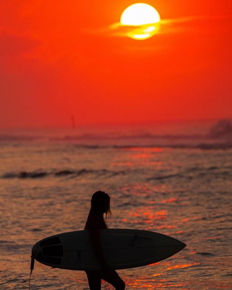 Surfer girl Ocean People, Surfer Girl Aesthetic, Surfer Aesthetic, Girl Surfer, Surf Aesthetic, 9 Lives, Soul Surfer, Ocean Girl, Girl Vibe