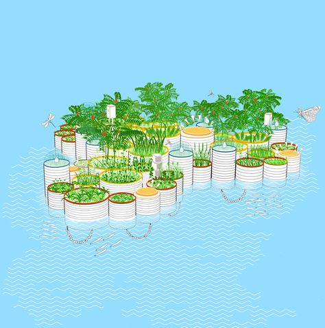 Testing The Waters: How Floating Gardens Could Solve Our Biggest Environmental Challenges - Garden Collage Floating Gardens, Sponge City, Floating Architecture, Ecology Design, Floating Garden, Floating Island, Natural Swimming Pool, Outdoor Diy Projects, Rain Water Collection