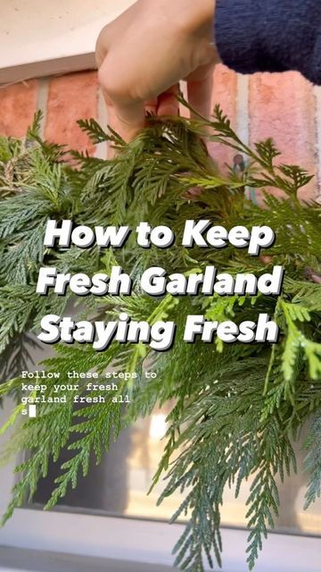 Fresh Cedar Garland, Diy Cedar Garland How To Make, Christmas Cedar Garland, How To Make A Cedar Garland, Diy Pine Tree Decor, Cedar Christmas Garland, Fresh Garland Mantle, Decorating With Cedar Branches, Pine Garland Christmas Front Porches