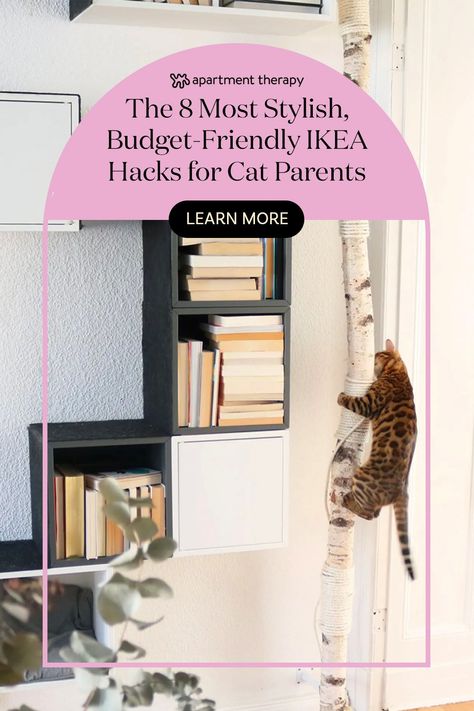 Ikea Cat Wall, Cat Proof Bedroom, Cat Setup Apartment, Cat Proof Living Room, Home Office Cat Room, Cat Proof Home Decor, Cats Home Ideas, Cat Friendly Bedroom Ideas, Ikea Cat Shelves