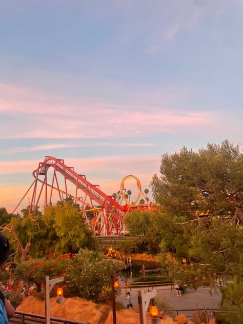 Sunset view from theme park 
Pink orange blue sky 
Roller coaster on sunset 
Large trees 
Theme park Theme Park Aesthetic, Summer List, Park Birthday, Sunset View, Summer Mood, Colorful Stage, Gorgeous Sunset, Summer Theme, Vintage Theme