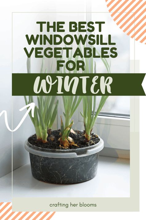 Growing Vegetables Indoors, How To Plant Carrots, Growing Food Indoors, Winter Veggies, Indoor Vegetables, Winter Vegetables Gardening, Windowsill Garden, Inside Garden, Winter Crops