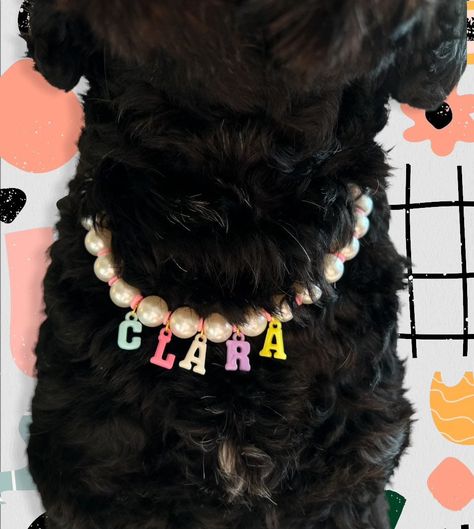 Excited to share the latest addition to my #etsy shop: Necklace for Dog, Custom Pet Dog or Cat Beaded Necklace, Pearls, Pet Jewelry, Pet Gifts, Birthday Gift for Dogs, Birthday Gift for Cat #dog #pearlnecklace #dognecklace #dogjewelry #catjewelry #catnecklace #petbirthdaygift #petgifts #petnecklace Pet Jewelry For Dog, Jewelry For Dogs To Wear, Dogs Necklace, Dog Necklace Beads, Beaded Pet Collar, Dog Pearl Necklace, Dogs Birthday, Dog Accesories, Pet Jewelry