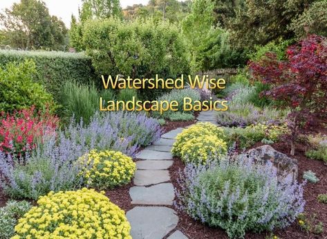 WaterWise Landscaping | City of Bend Oregon Landscaping Ideas, Oregon Landscaping, Waterwise Landscaping, Water Wise Landscaping, Drought Tolerant Landscape, Water Wise, Central Oregon, Drought Tolerant, Landscaping Ideas