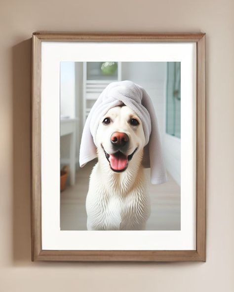 White Lab with Towel Poster Print Polar White Labrador Retriever Bath Funny Dog Bath Picture Bathroom Humor Pure White Lab Wall Art for Bath by IrbyAcresLabs on Etsy Dog Bathroom Art, Labrador Retriever Funny, Bath Pictures, White Labrador, Dog Bathroom, White Lab, Dog Bath, Bath Wall Art, Dog Decor