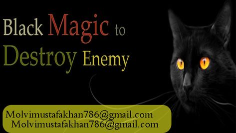 black magic to kill someone +91 8696219001 Dark Magic, Motion Pictures, Black Magic, Motion Picture, To Win, Writers, Slots, Motion, My Love