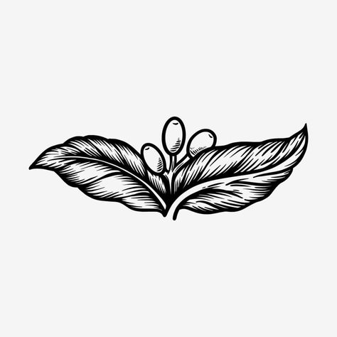 coffee leaf retro vector illustration Coffee Leaf, Retro Vector Illustration, Retro Vector, Lotus Flower Tattoo, The Coffee, Flower Tattoo, Vector Art, Vector Free, Vector Illustration