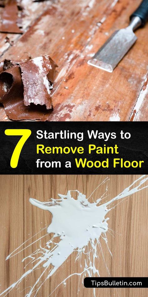 Discover how to clean up a fresh paint stain and old paint from a wood floor using various solutions and methods. A putty knife and soapy water work well for removing latex paint while rubbing alcohol or paint thinner is the quickest form of paint removal. #howto #remove #paint #wood #floors How To Get Paint Off Wood, Repair Wood Floors, Remove Paint From Wood Floors, How To Remove Paint From Wood Floors, How To Get Paint Off Wood Floors, How To Remove Paint From Wood, Get Paint Off Wood Floors, Paint Wood Floors, Removing Paint From Wood