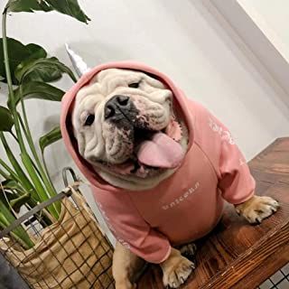 English Bulldog Clothes, Bulldog Clothes, Monster Hoodie, Clever Dog, Unicorn Hoodie, Bandana Dog, Dog Store, Interactive Dog Toys, Dog Hat