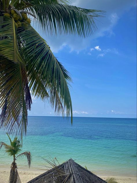 Koh Phangan, Koh Tao, Tao, Thailand