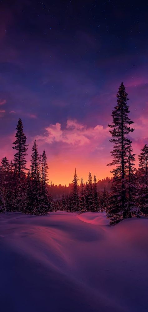 Winter Scenery Aesthetic, Sunrise Iphone Wallpaper, Winter Phone Wallpapers, Wallpaper Trees, Sunset Winter, Landscape Sunrise, Beautiful Winter Scenes, Snow Landscape, Amoled Wallpapers