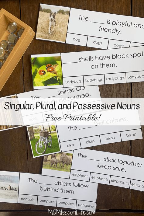 Teaching Possessive Nouns, Singular And Plural Nouns Activities, Primary English Activities, Possessive Nouns Activities, Nouns Kindergarten, Noun Games, Plural Nouns Activities, Singular Possessive Nouns, Plural Possessive Nouns