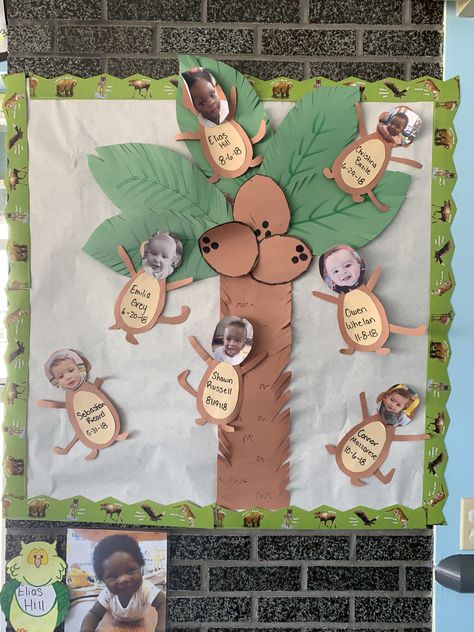 Our birthday board! A parent favorite! #art #preschool #easy #diy #infant #artproject #footprint #jungle #child #fun Infant Birthday Board Ideas, Daycare Birthday Boards, Jungle Bulletin Boards, Infant Activity, Infant Daycare, Birthday Board Classroom, Work Bulletin Boards, Board Classroom, Art Preschool