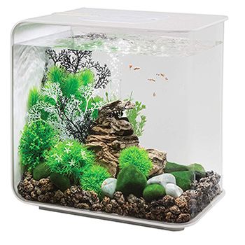 Aquarium Set, Acrylic Aquarium, Nano Aquarium, Glass Aquarium, Aquarium Setup, Aquarium Design, Healthy Water, Tanked Aquariums, Coffee Table Design