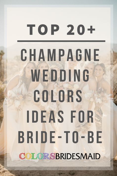 Top 40+ Wedding Colors for All Seasons and Colors - ColorsBridesmaid Champagne Color Palette Wedding Spring, Colours That Go With Champagne, Colors That Go With Champagne Dresses, Champagne Beach Wedding Color Schemes, Wedding Colors Champagne Colour Schemes, Colors That Go With Champagne, Champagne Palette Wedding, February Wedding Ideas Color Palettes, Champagne Color Wedding Theme