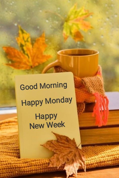 Happy Monday New Week, New Week Quotes, Monday New Week, Monday Greetings, Coffee Quotes Morning, Happy Monday Morning, Monday Coffee, Good Morning Happy Saturday, Good Morning Happy Monday